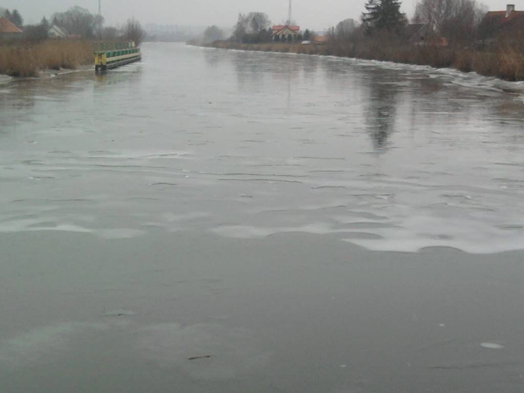 Zdjęcie 5