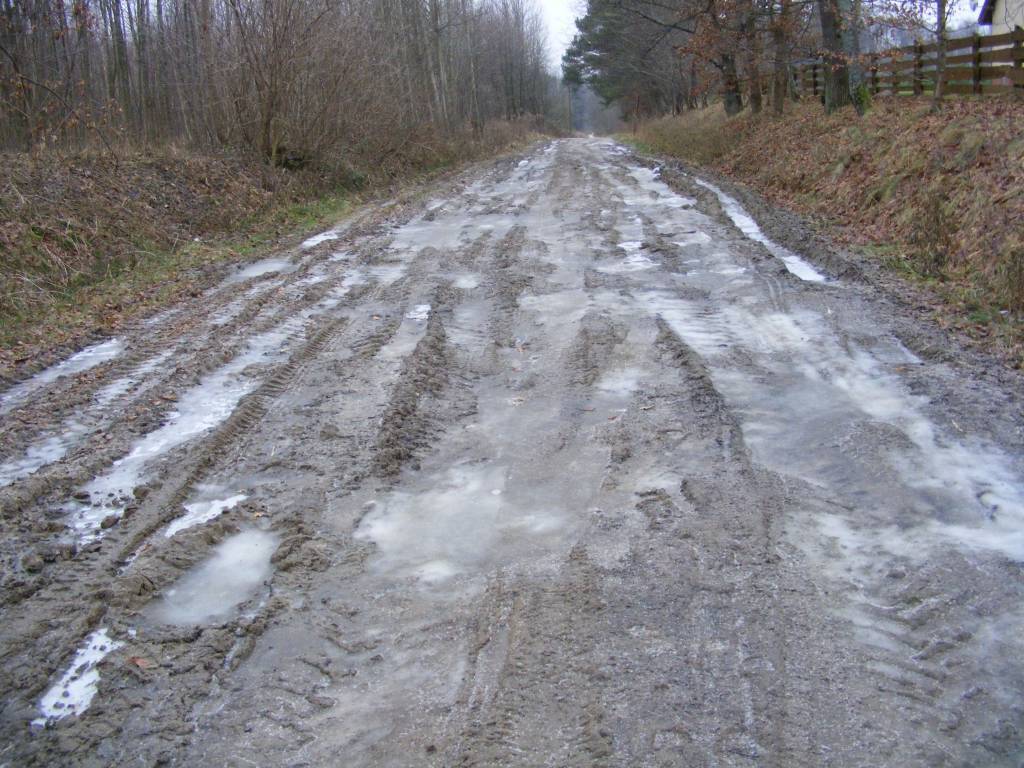 Zdjęcie 3