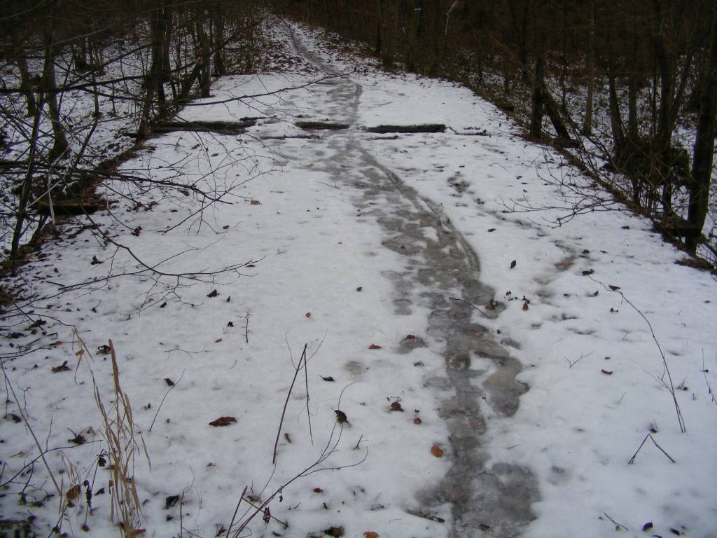 Zdjęcie 4