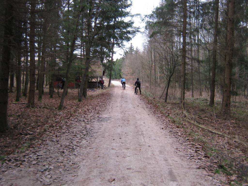 Zdjęcie 6