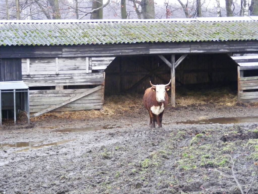 Zdjęcie 5