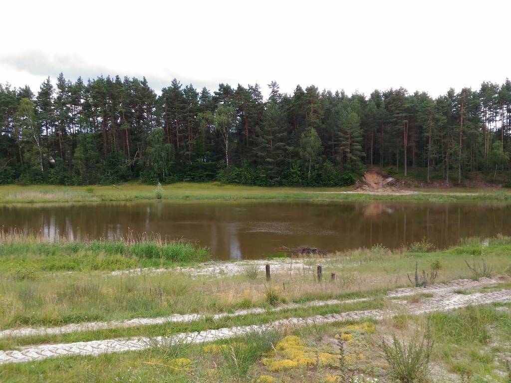 Zdjęcie 6