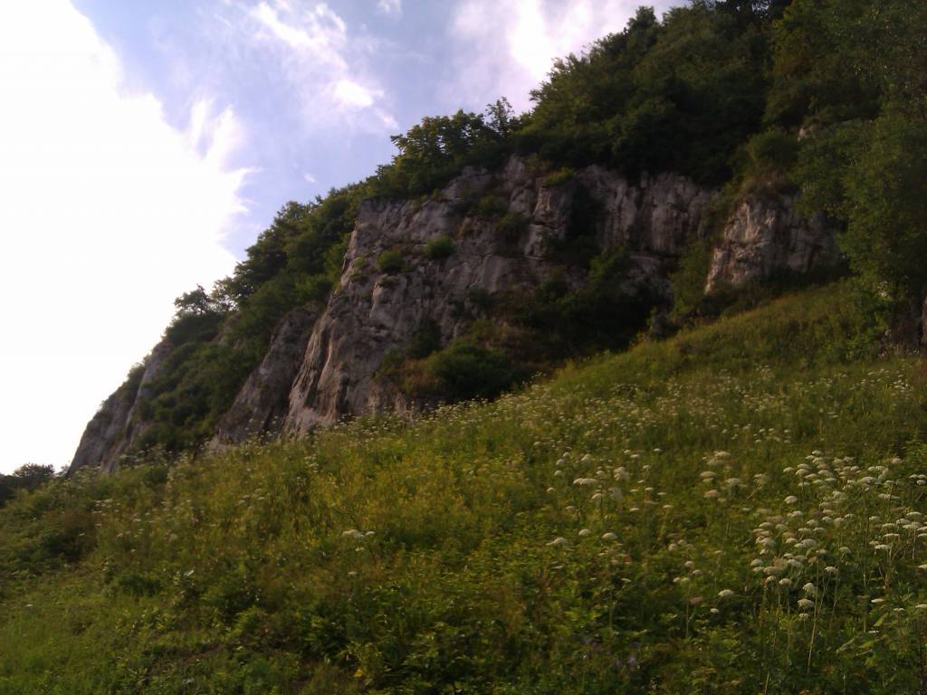 Zdjęcie 2
