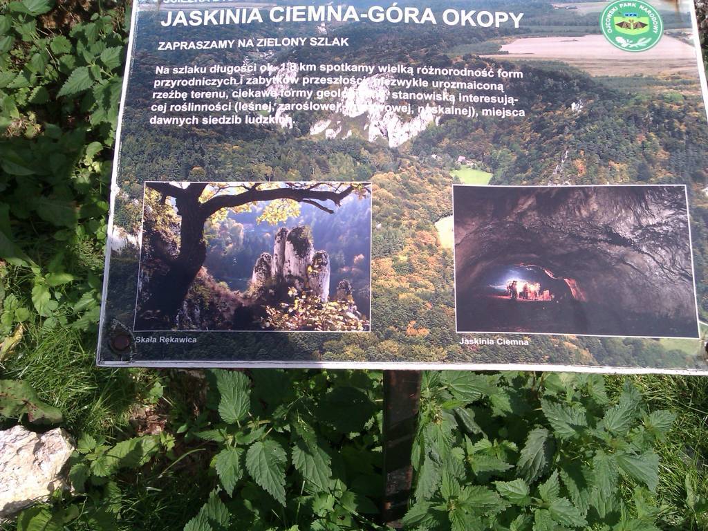 Zdjęcie 6