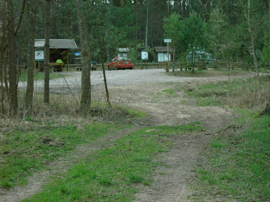 Zdjęcie 6