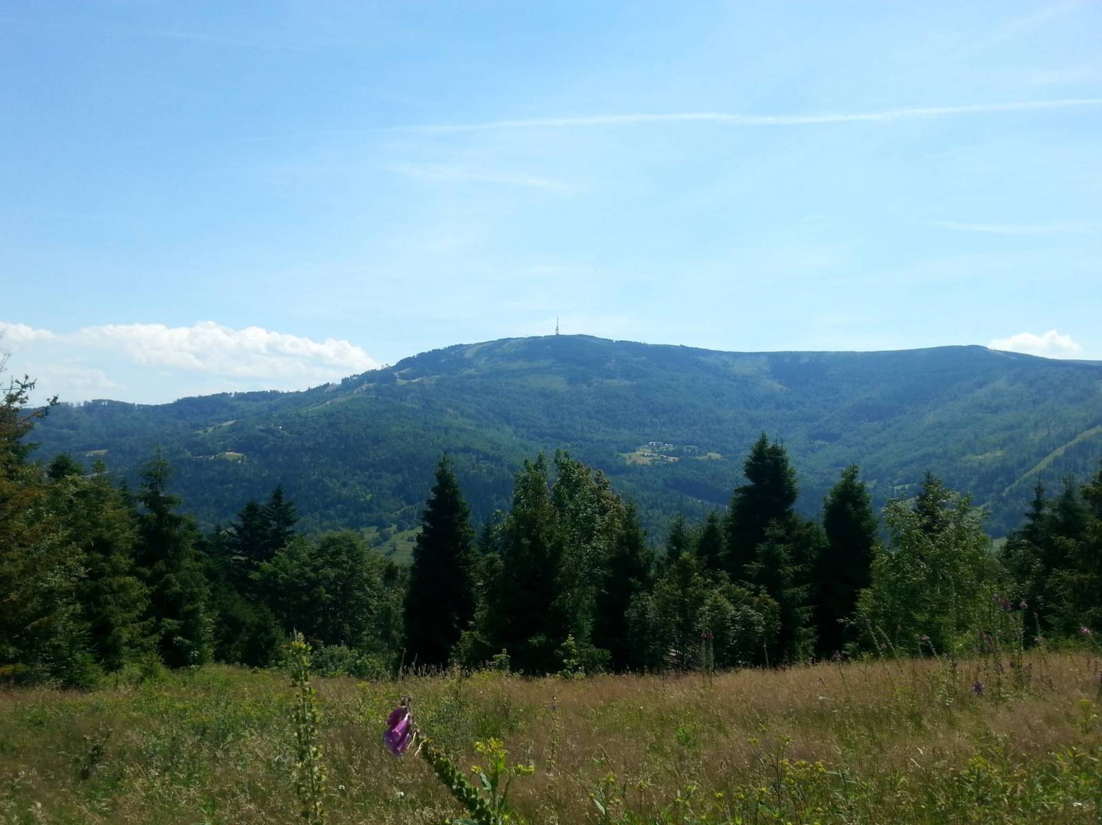 Zdjęcie 2