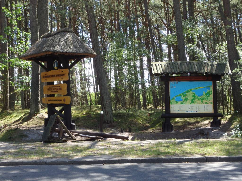 Zdjęcie 3