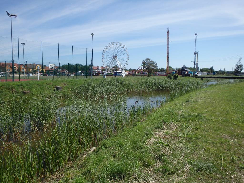 Zdjęcie 5