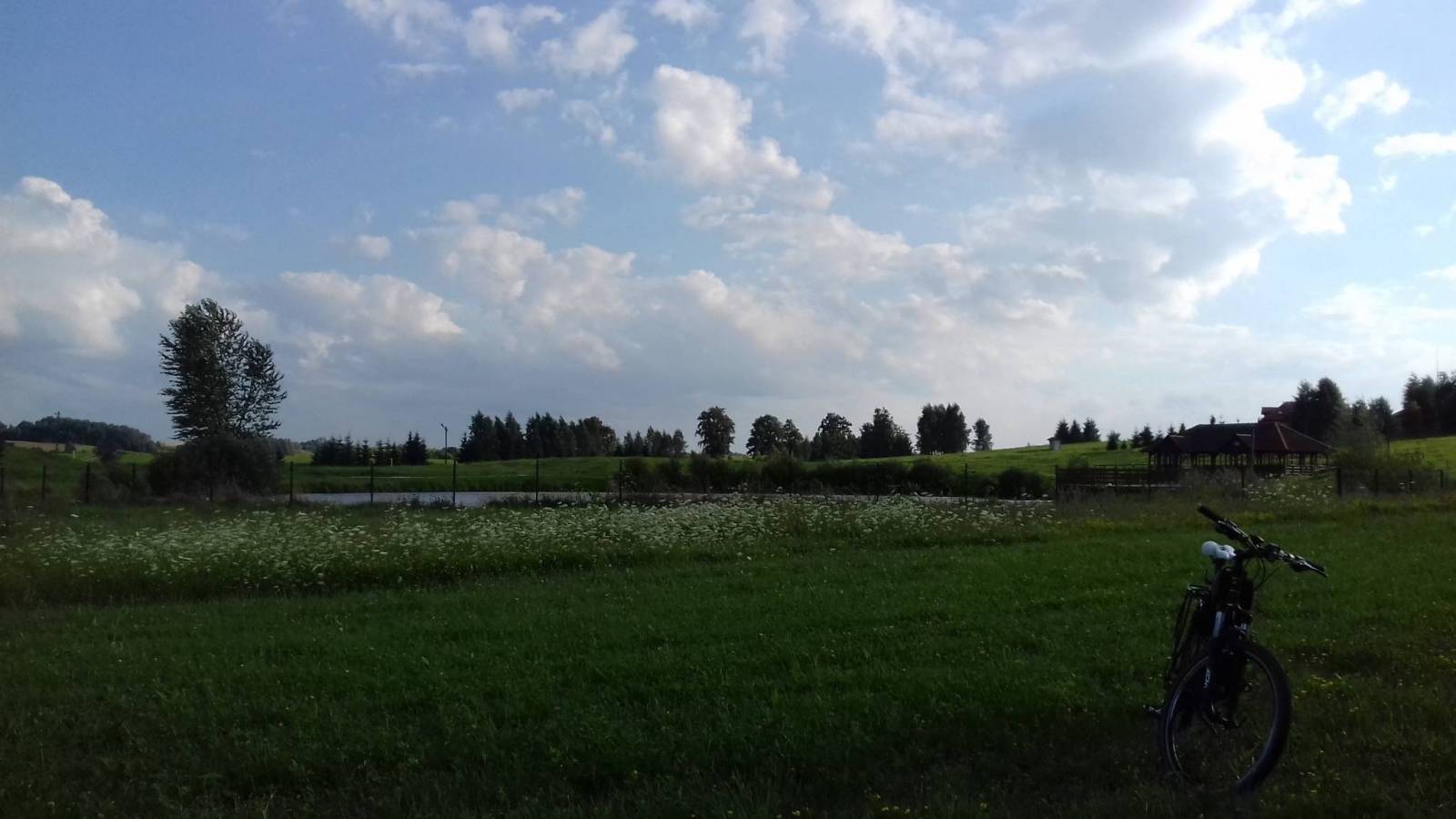 Zdjęcie 3