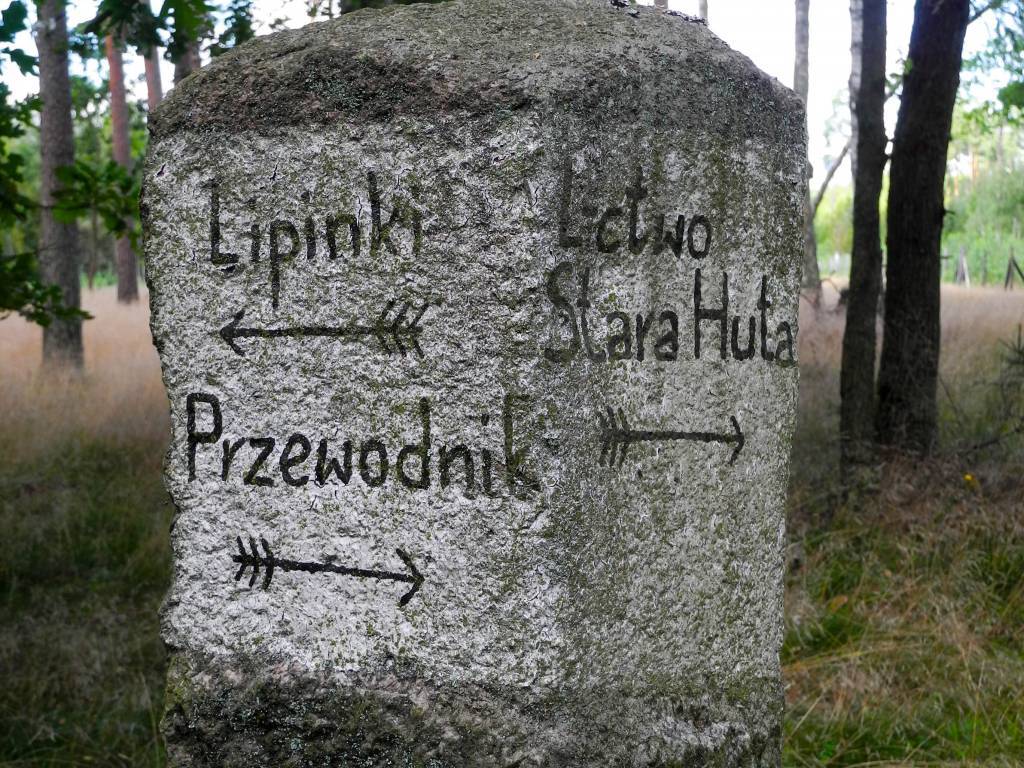 Zdjęcie 2