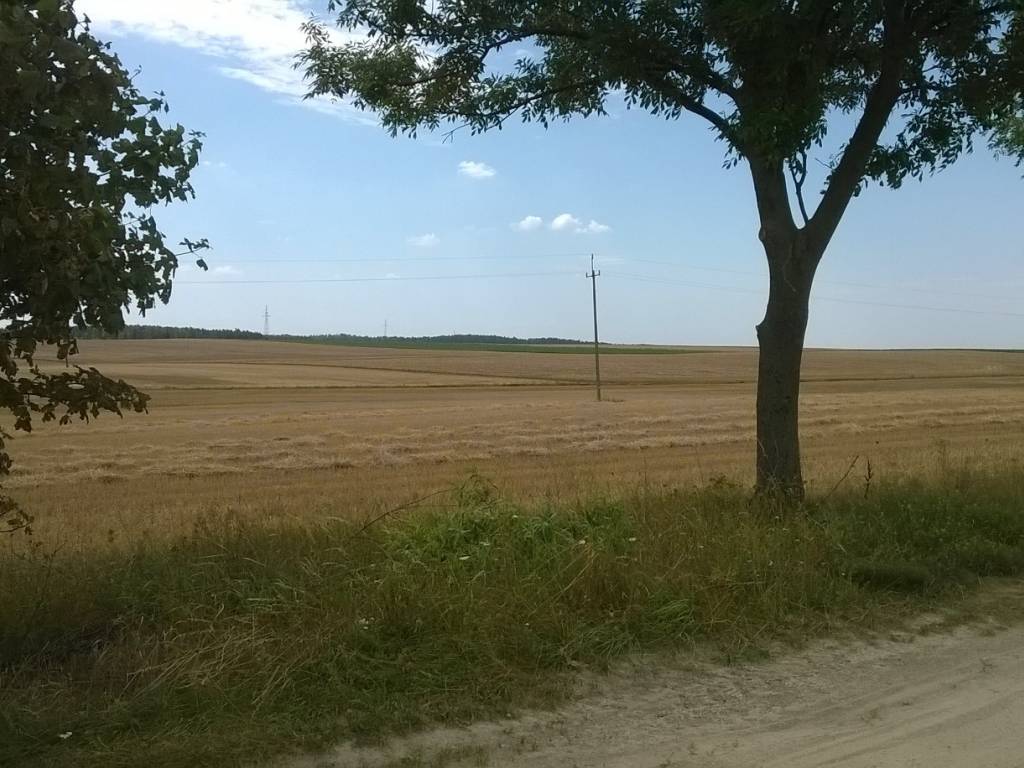 Zdjęcie 3