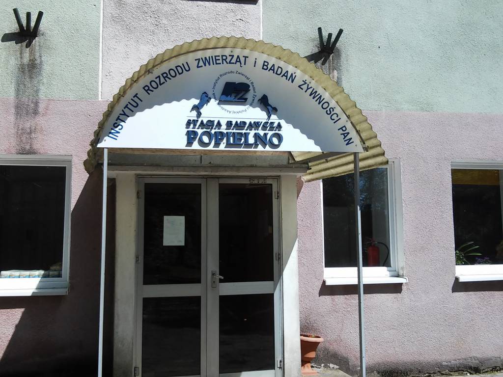 Zdjęcie 2