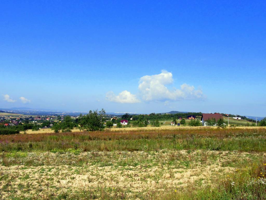 Zdjęcie 3