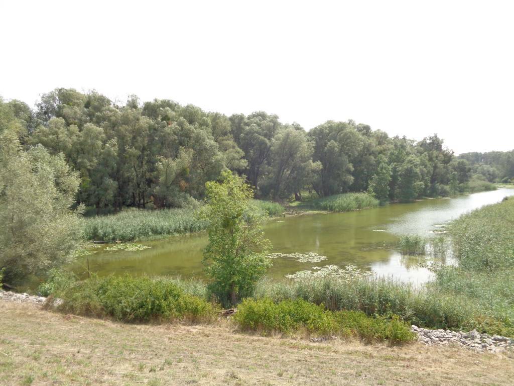 Zdjęcie 5