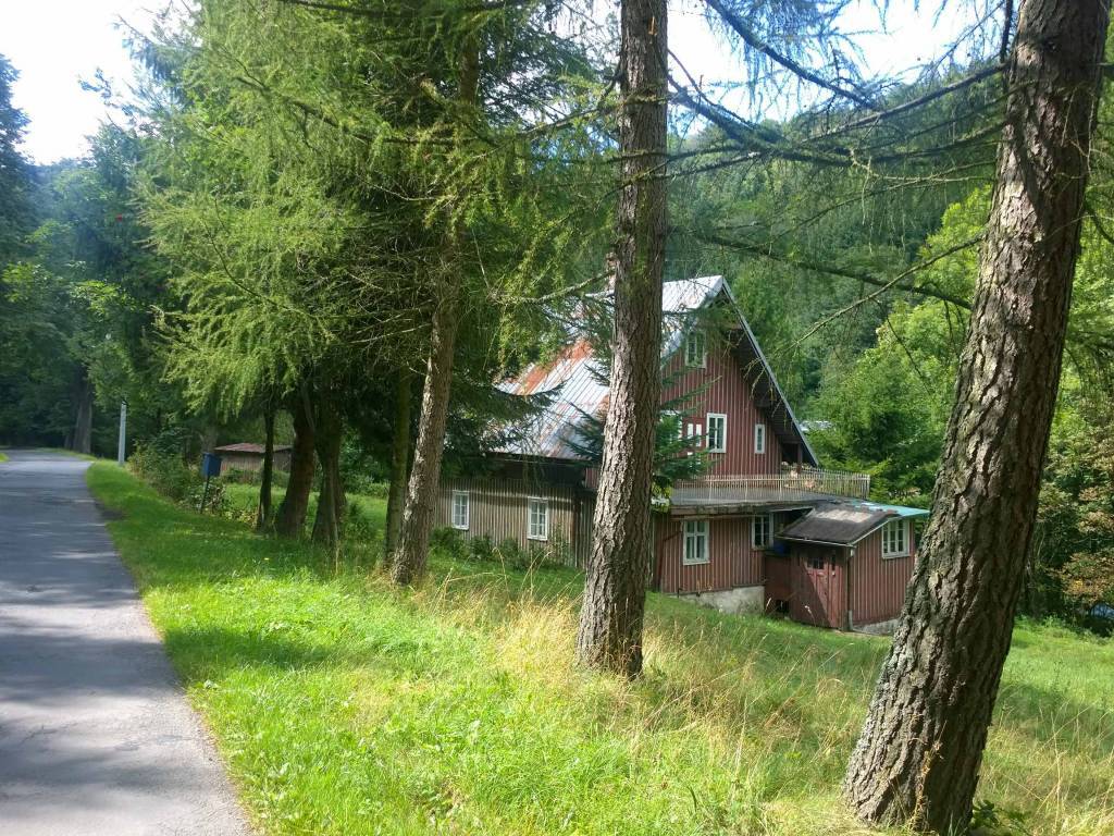 Zdjęcie 6