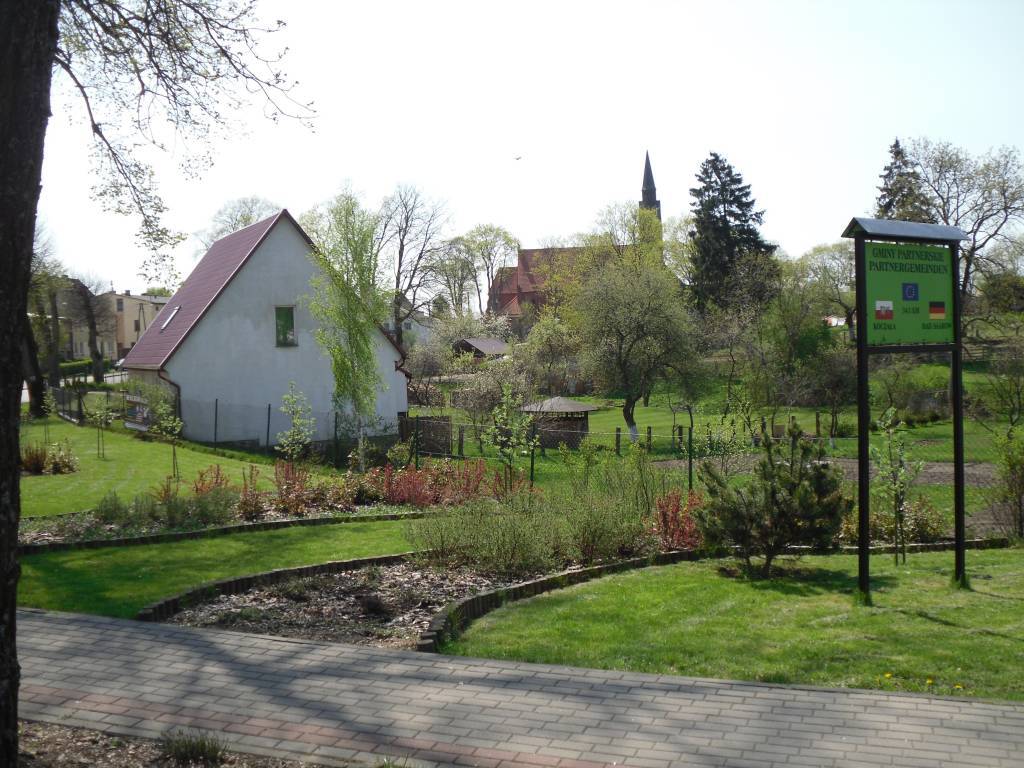 Zdjęcie 3