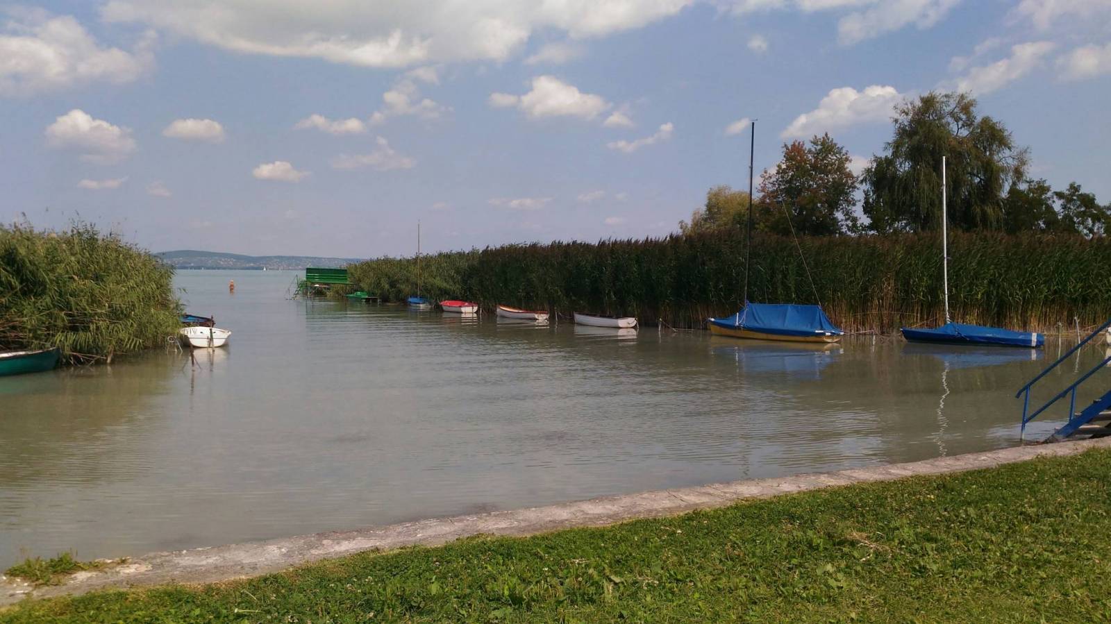 Zdjęcie 2