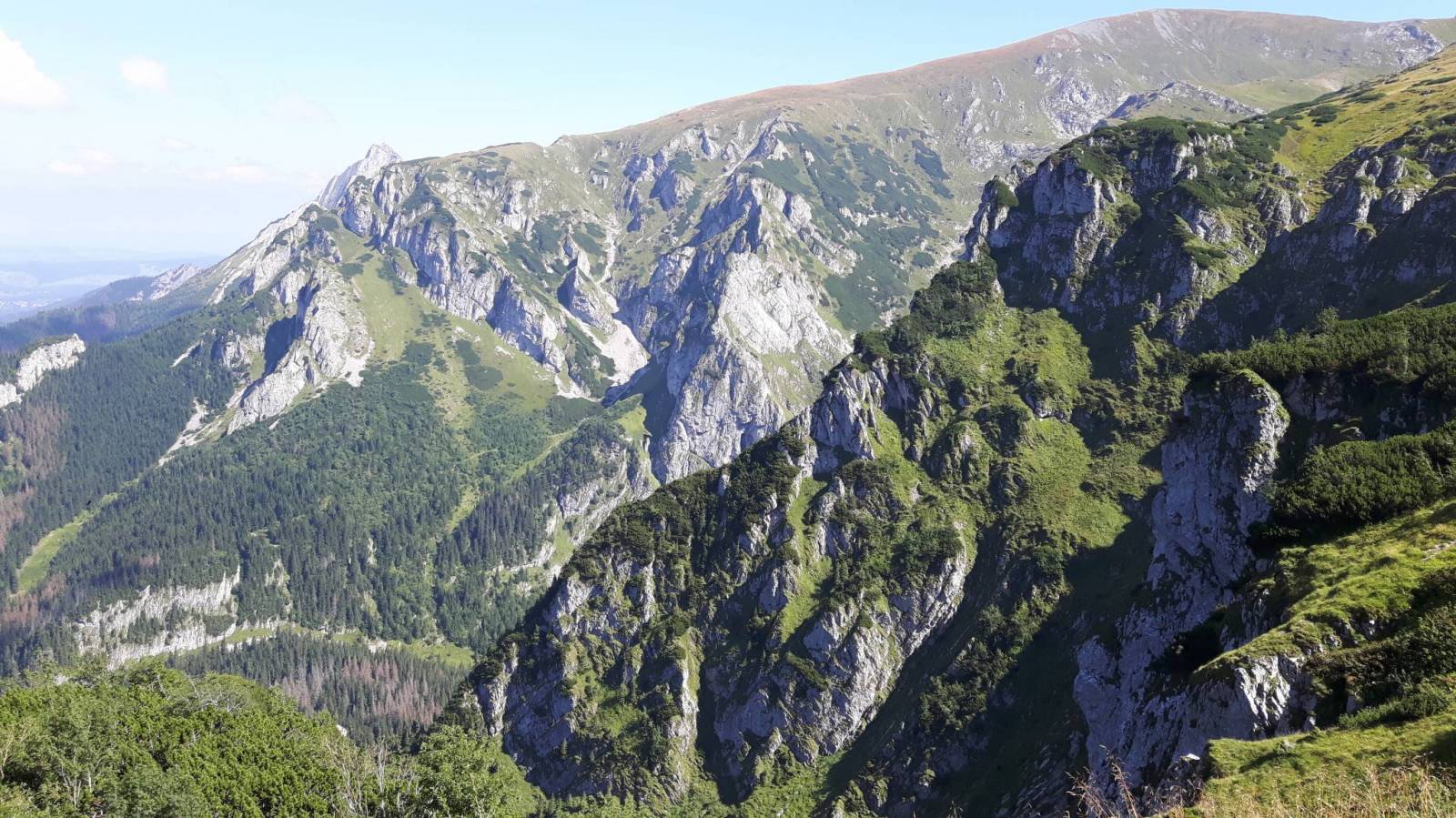 Zdjęcie 5