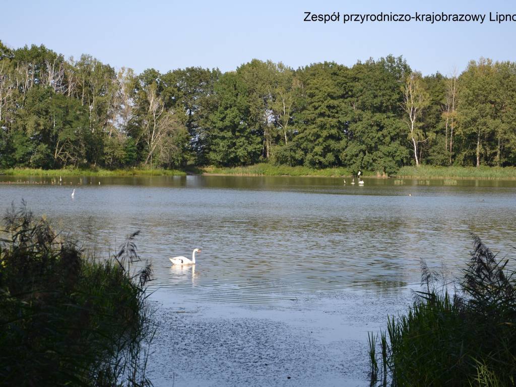 Zdjęcie 3