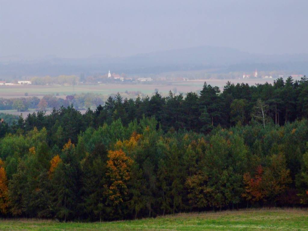 Zdjęcie 4