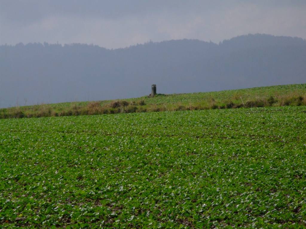 Zdjęcie 5