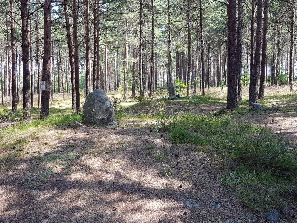 Zdjęcie 6