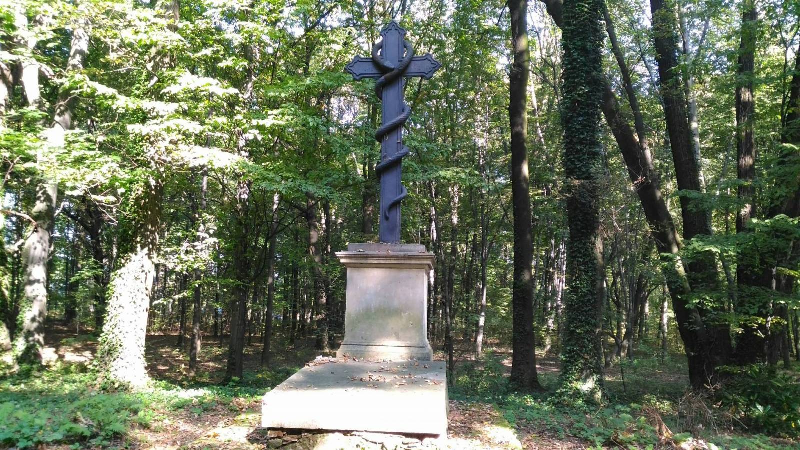 Zdjęcie 6