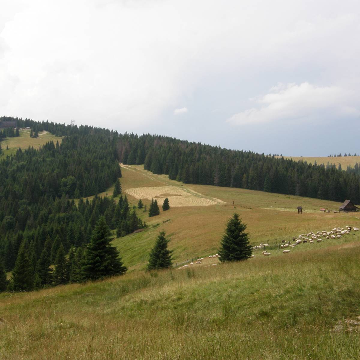 Zdjęcie 4