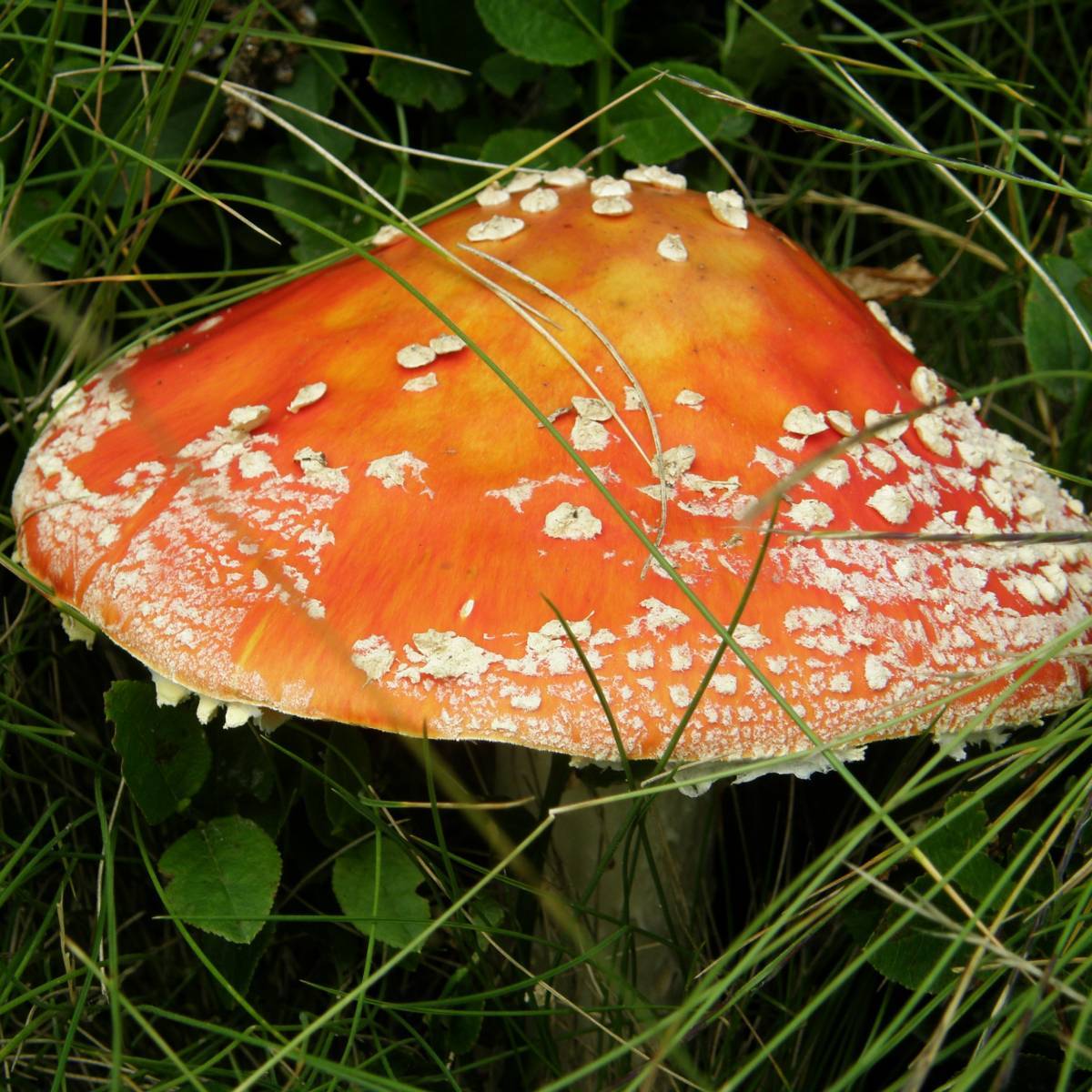 Zdjęcie 6