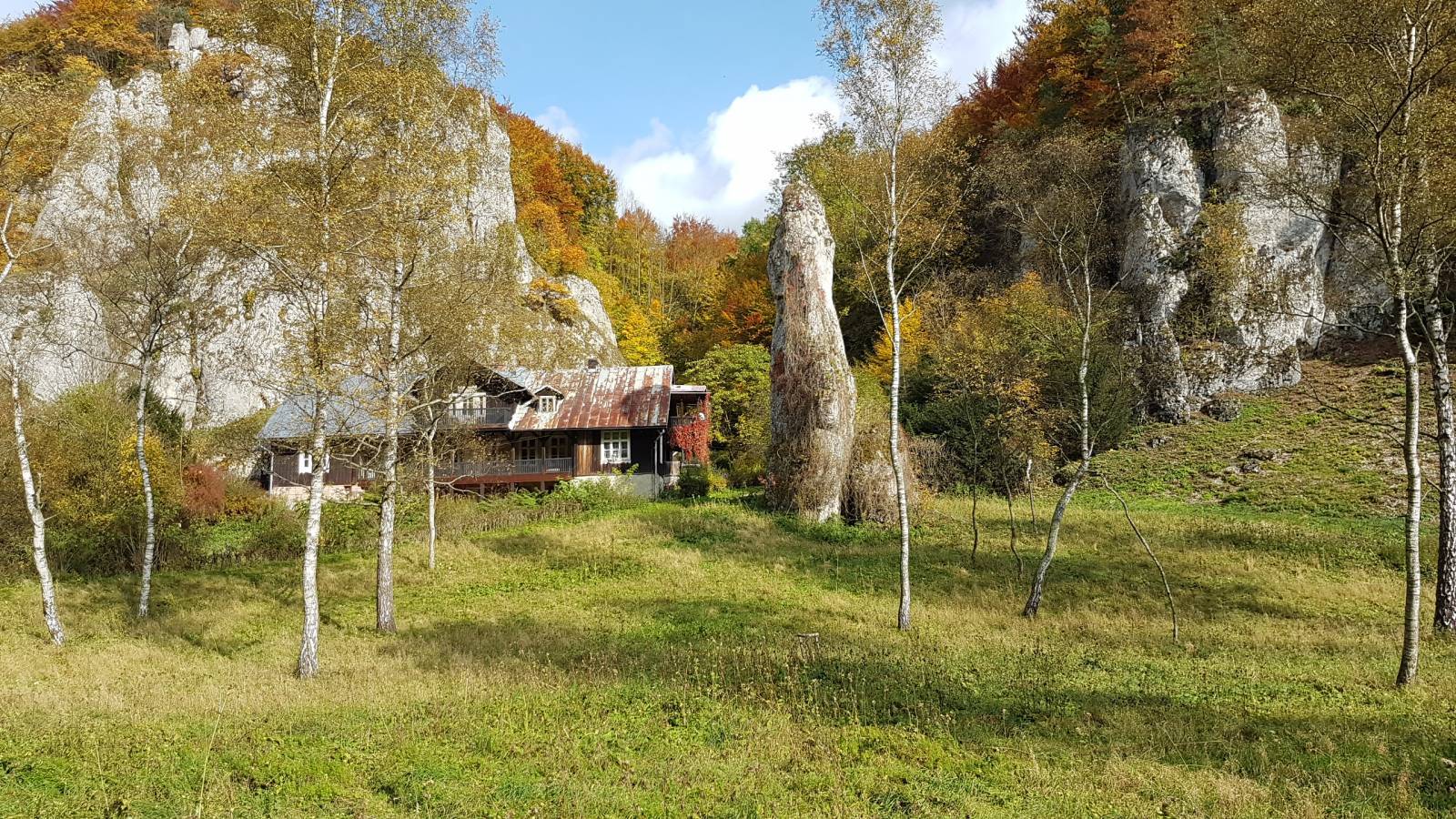 Zdjęcie 5
