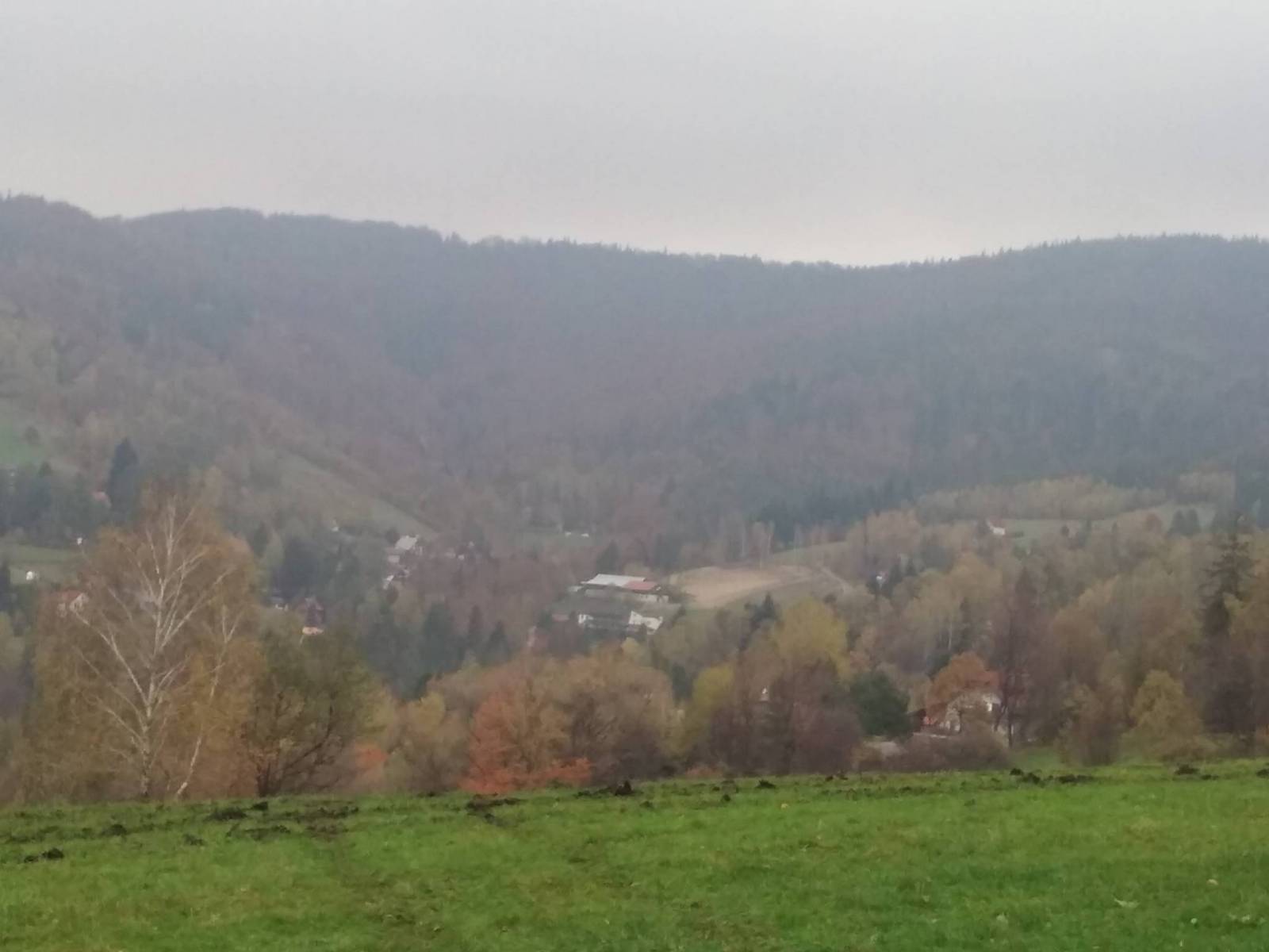 Zdjęcie 2