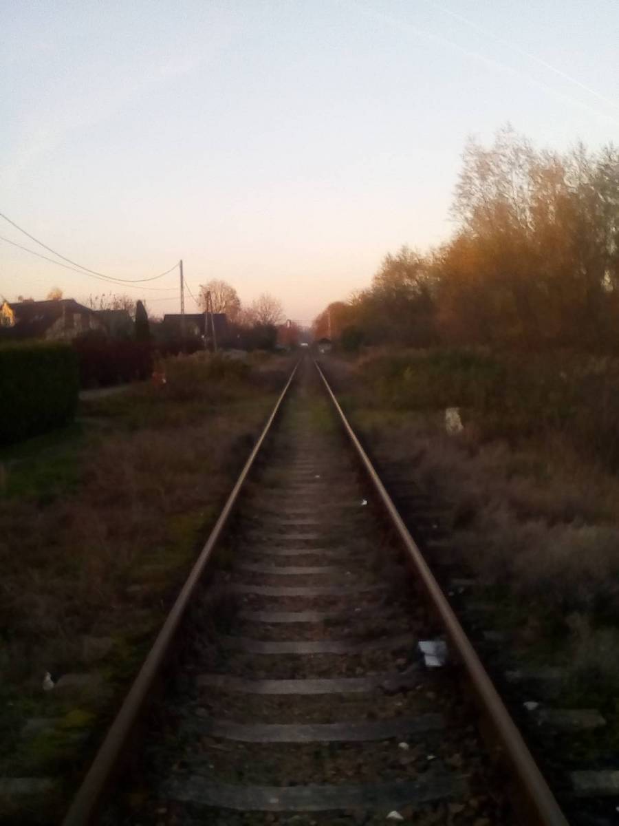 Zdjęcie 3