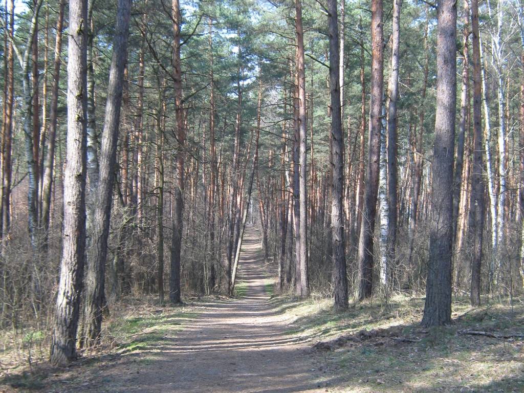 Zdjęcie 6