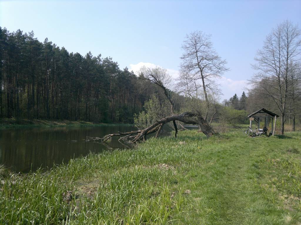 Zdjęcie 6
