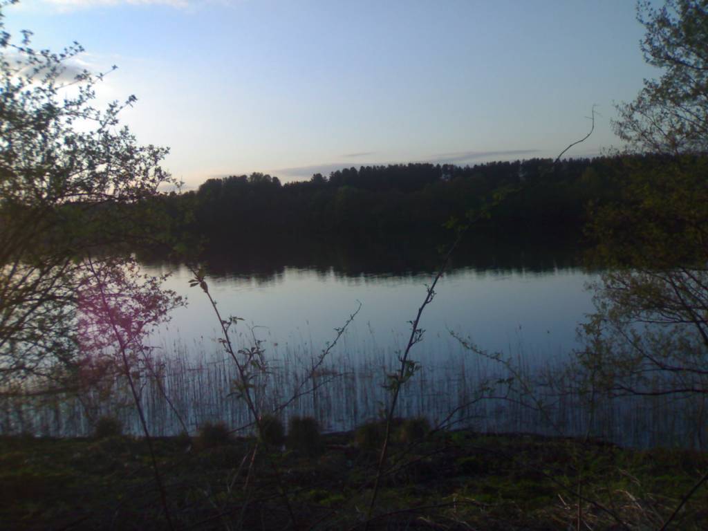 Zdjęcie 5
