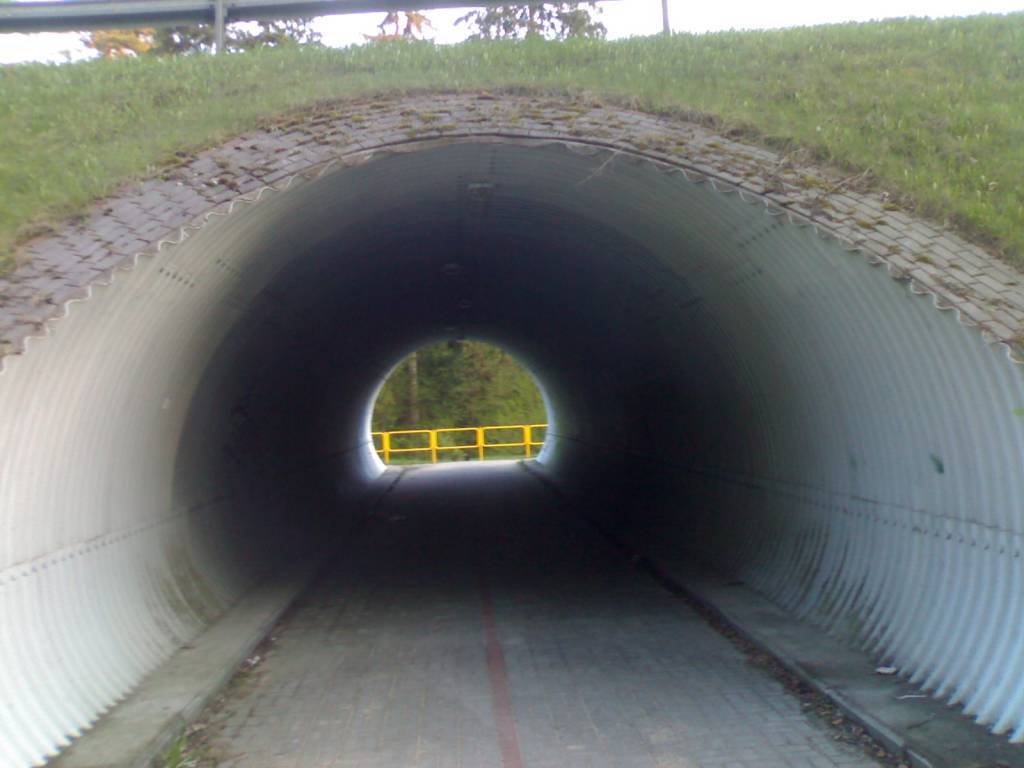 Zdjęcie 6