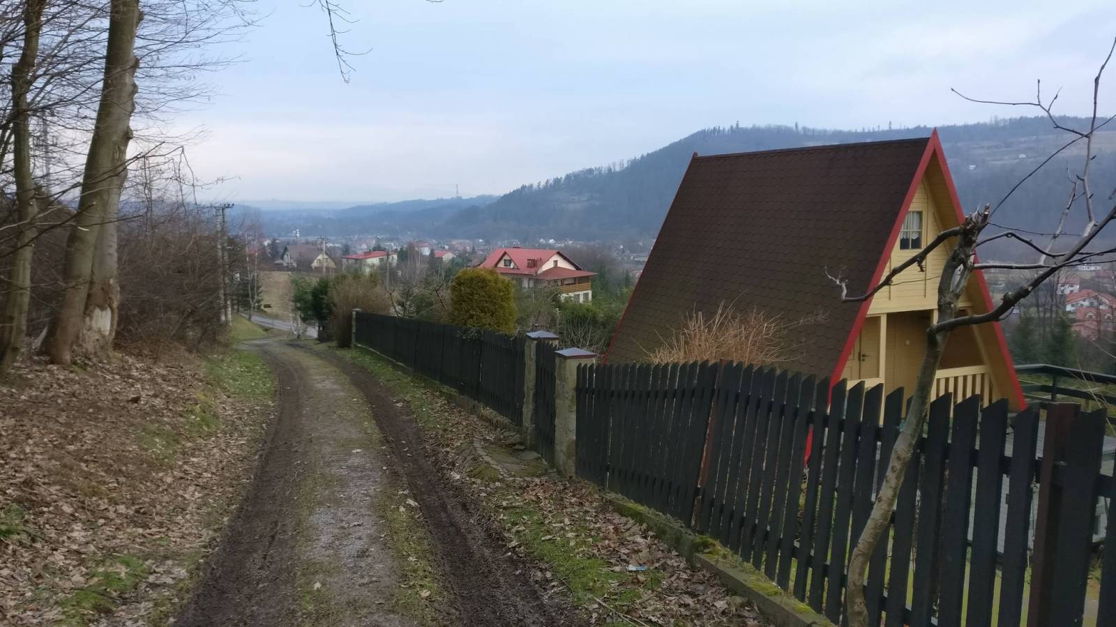 Zdjęcie 5