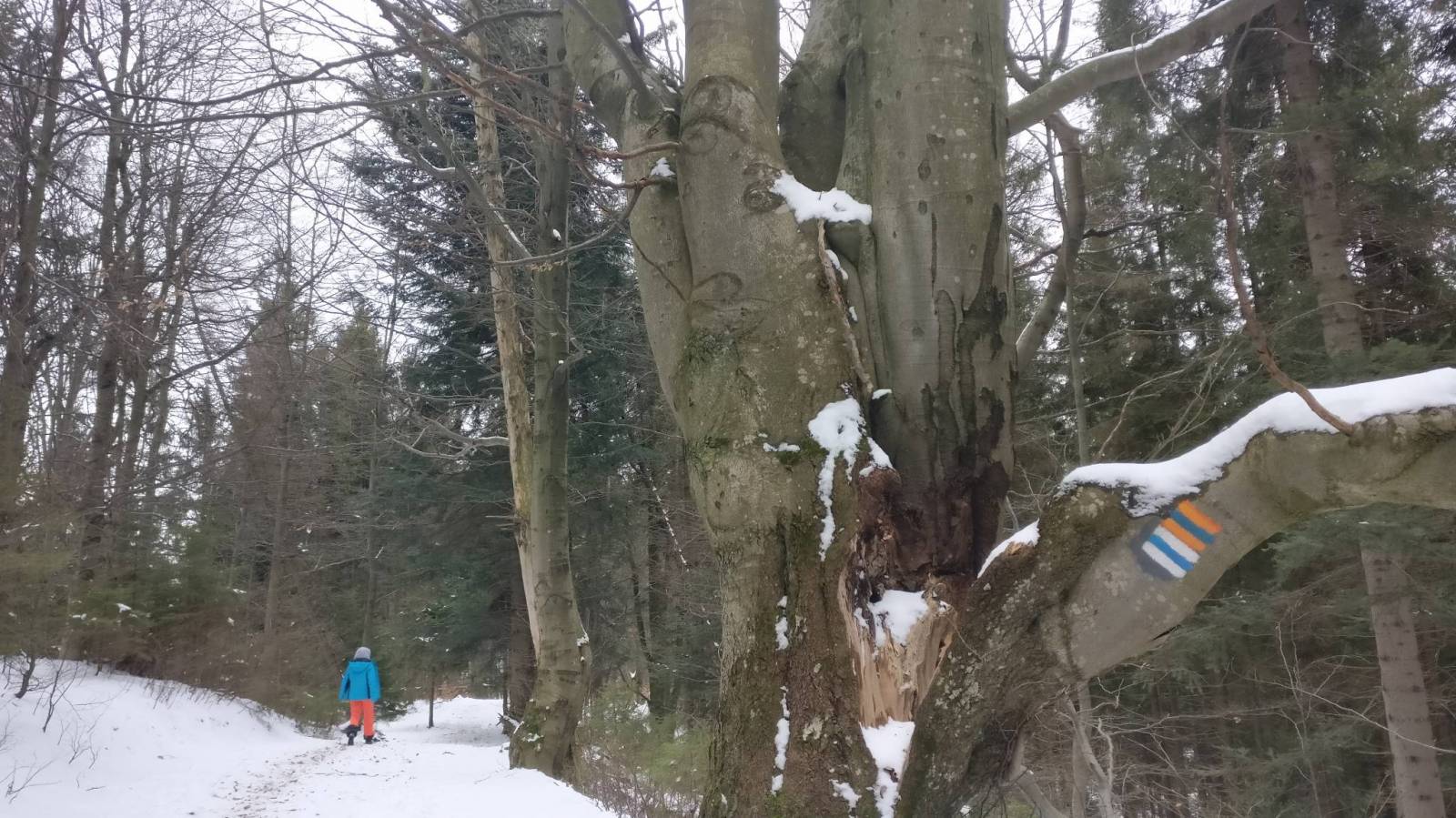 Zdjęcie 2