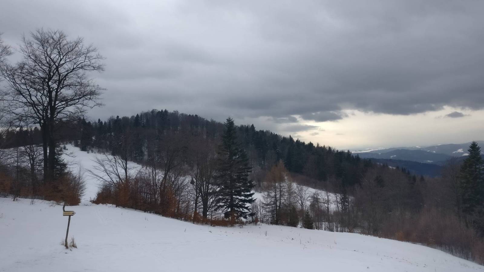 Zdjęcie 3