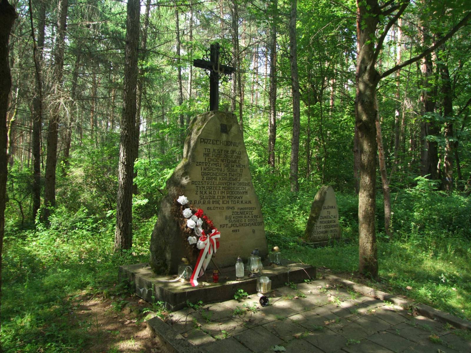 Zdjęcie 5