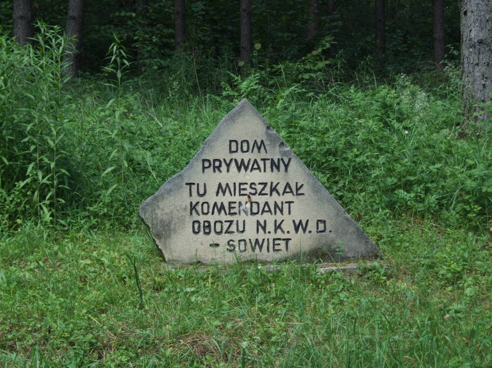 Zdjęcie 6