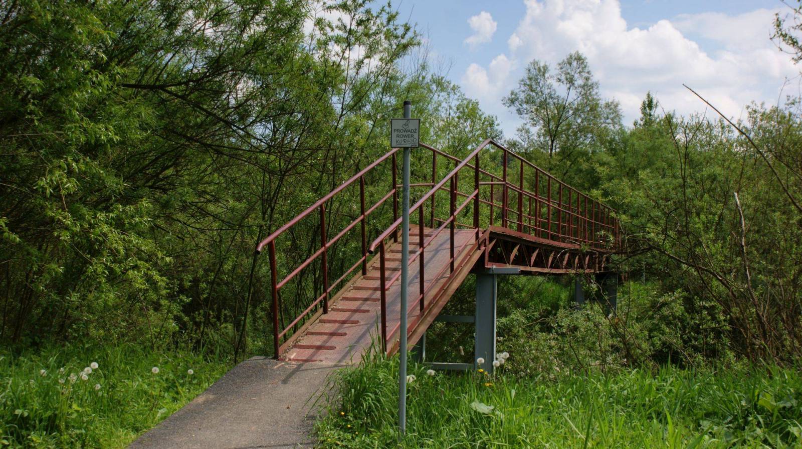 Zdjęcie 5