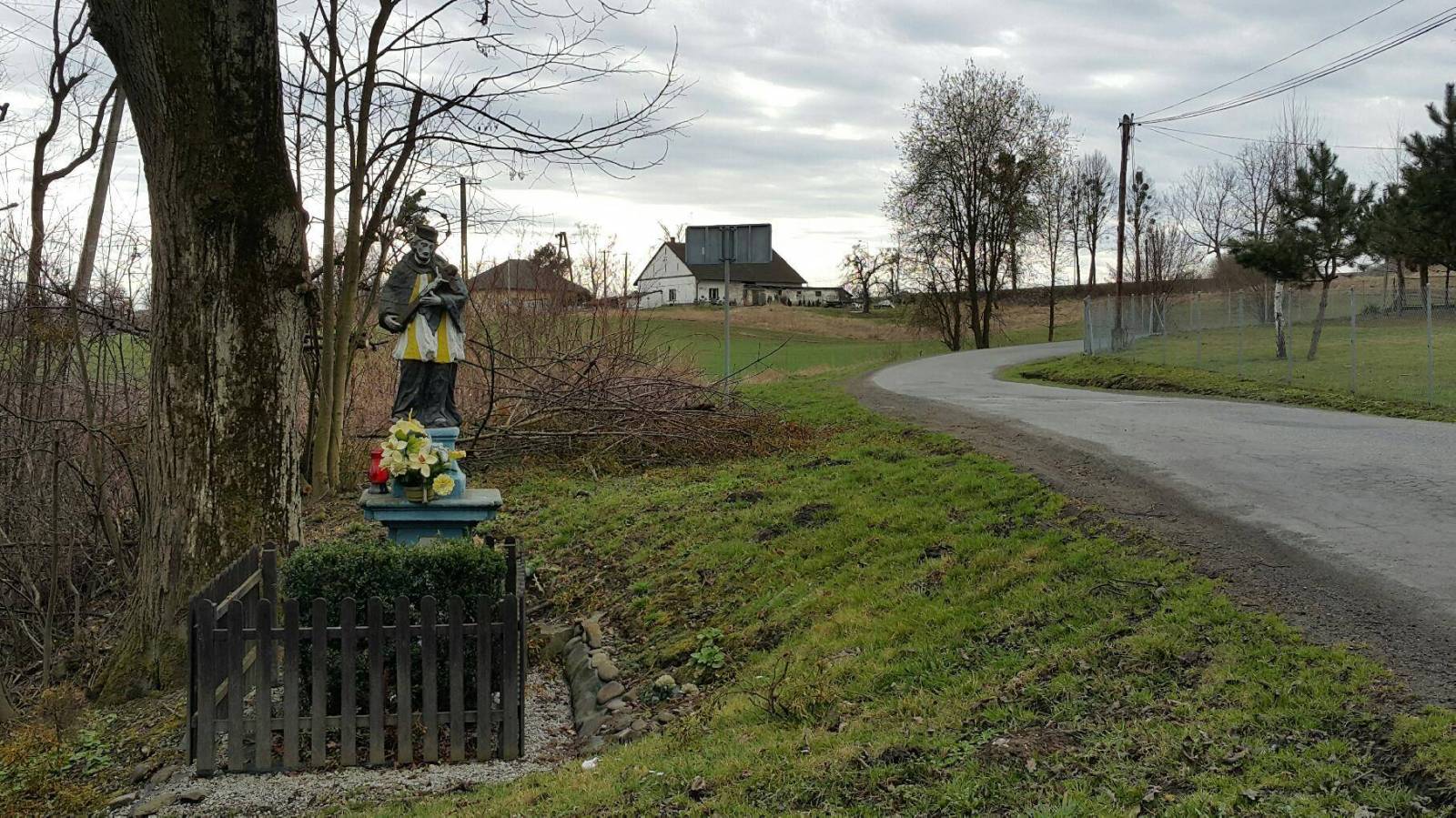 Zdjęcie 6