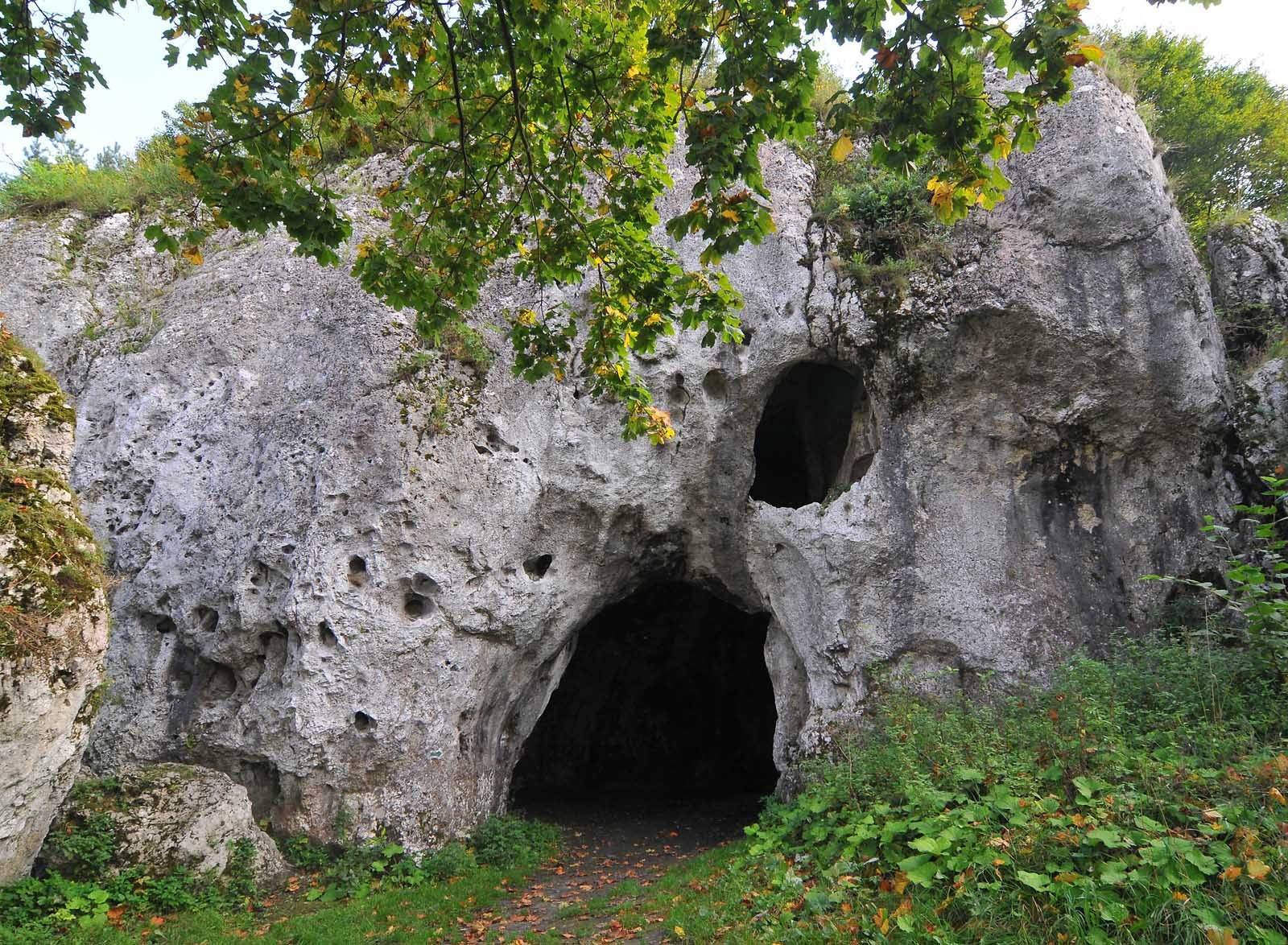Zdjęcie 5