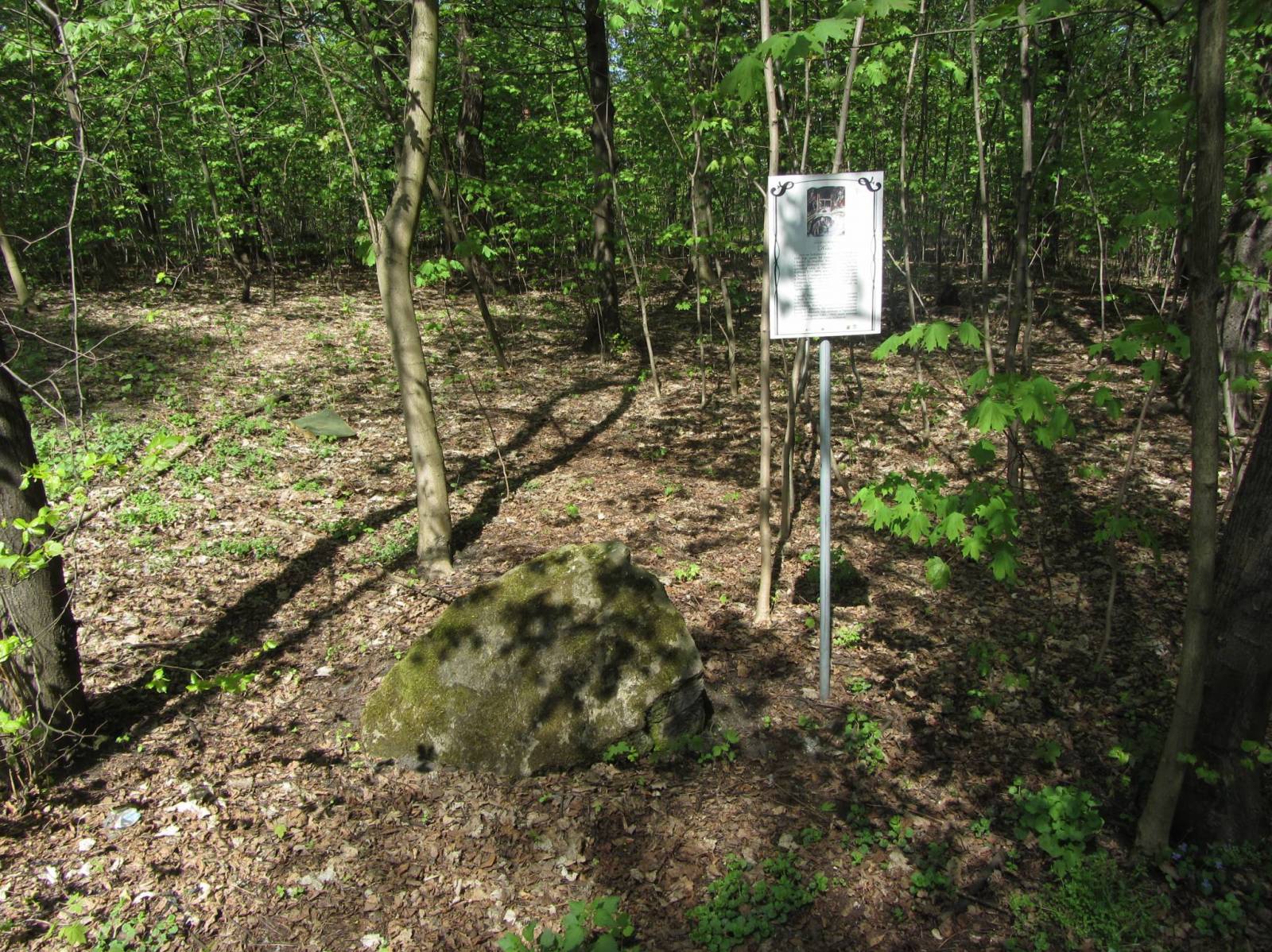 Zdjęcie 4