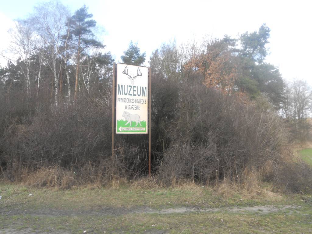 Zdjęcie 2