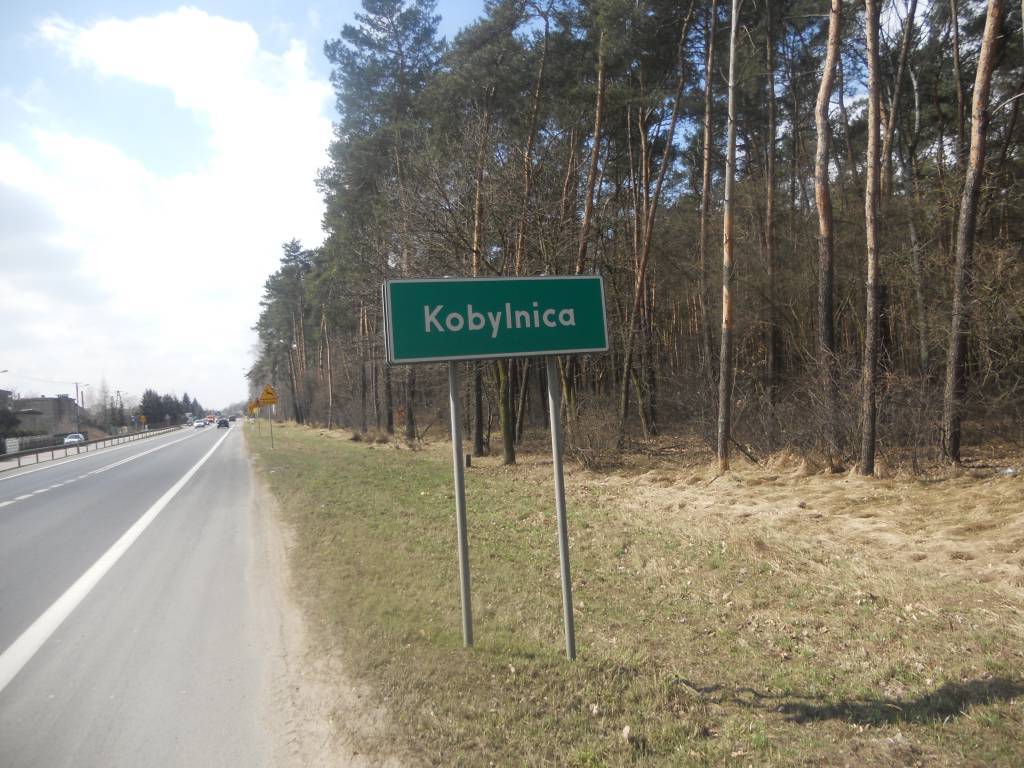 Zdjęcie 5