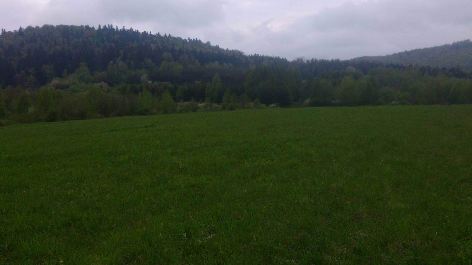 Zdjęcie 6