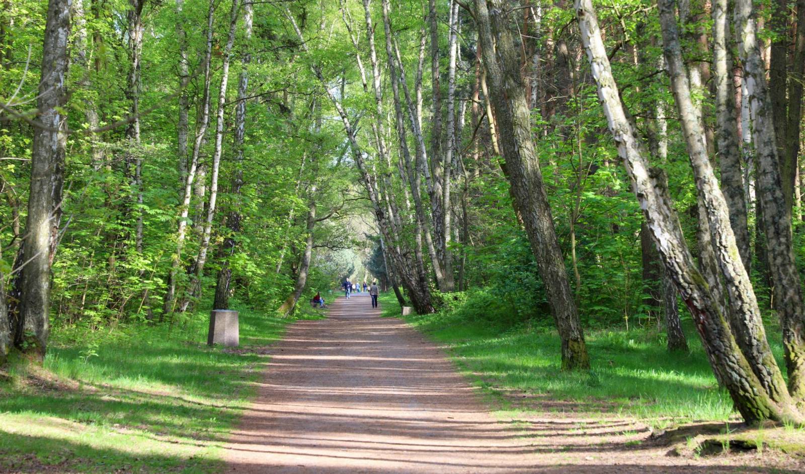 Zdjęcie 6