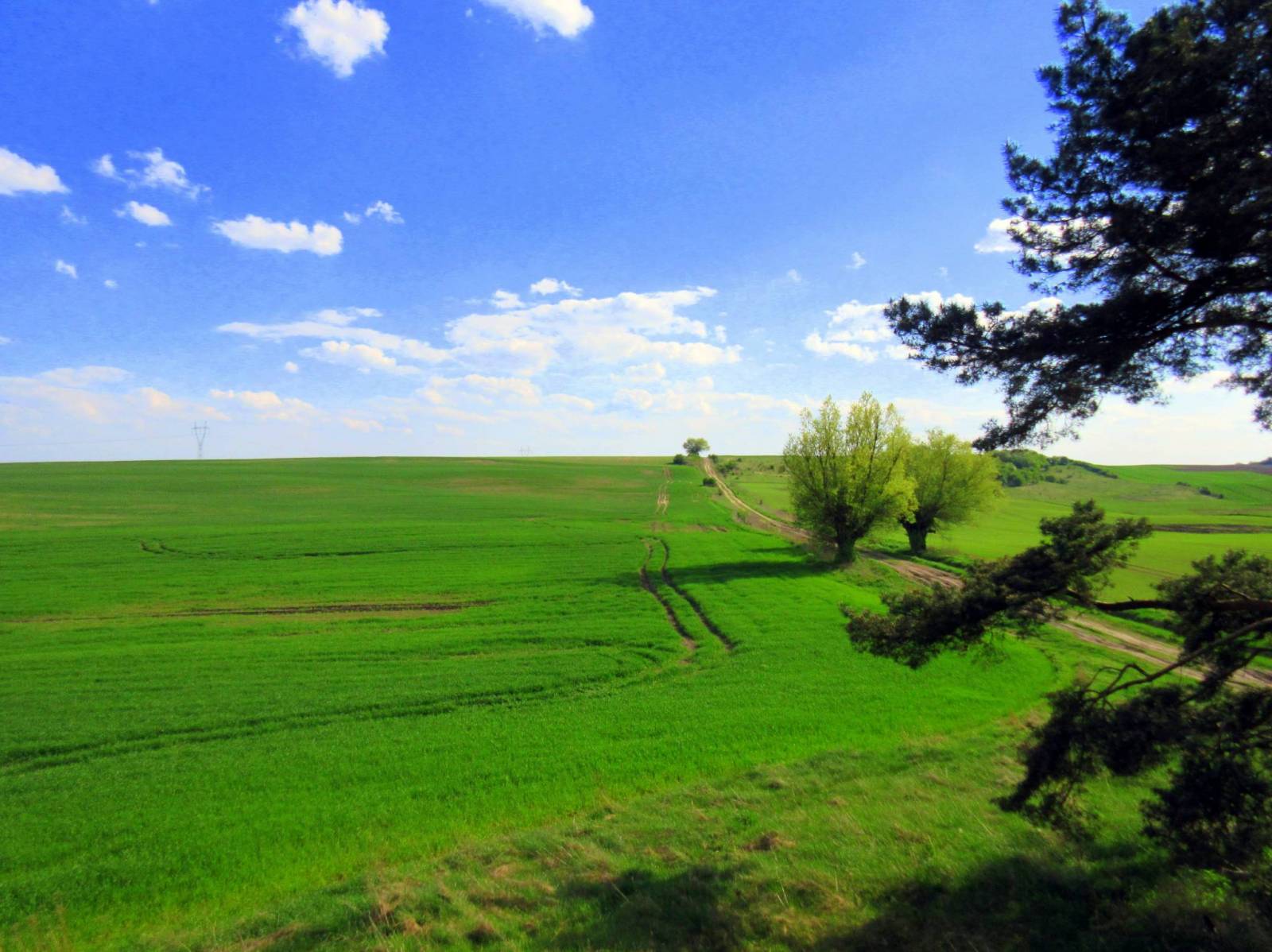 Zdjęcie 5